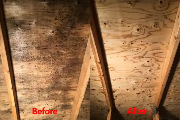 water damage restoration service West Valley